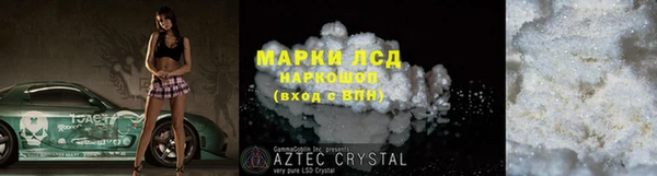 стаф Алзамай