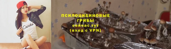 стаф Алзамай