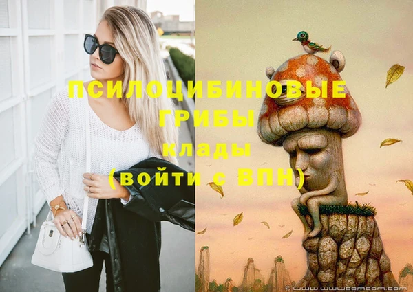 стаф Алзамай