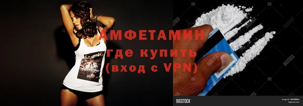 стаф Алзамай