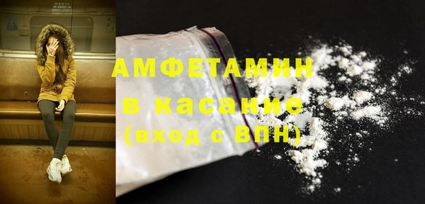стаф Алзамай